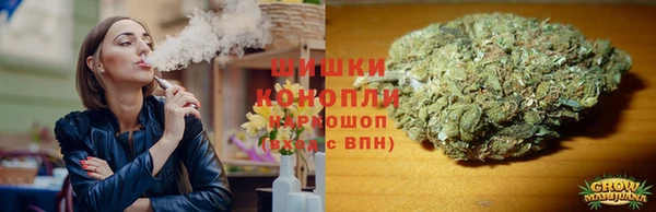 сатива Бежецк