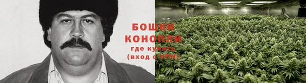 Альфа ПВП Михайловск