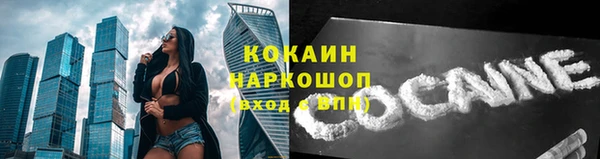 сатива Бежецк