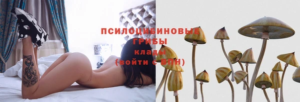 прущие крисы Михайловка