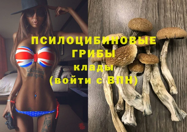 прущие крисы Михайловка