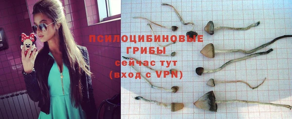 Альфа ПВП Михайловск